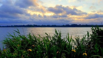 kralingseplas